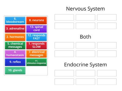 Nervous v. Endocrine System