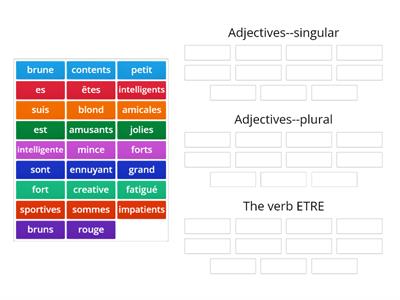 Adjectives ETRE group sort 