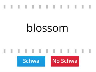4.6 (G1 T/F) Is there a schwa? Read each word to hear if there is a schwa. Game 1. Stop at 16 words. (P)