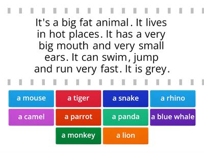 Describe an animal