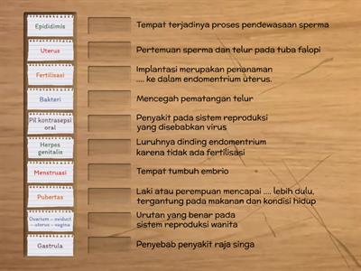 Sistem Reproduksi Manusia