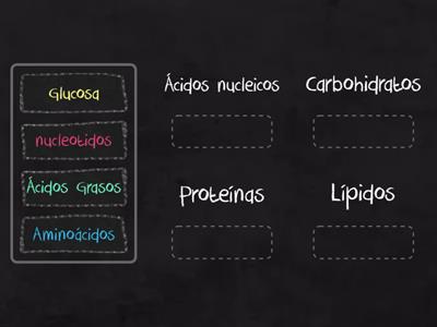 Unidades estructuras 