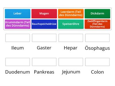 Pflege von Menschen mit Erkrankungen des Verdauungssytems_Anatomie_Fachbegriffe