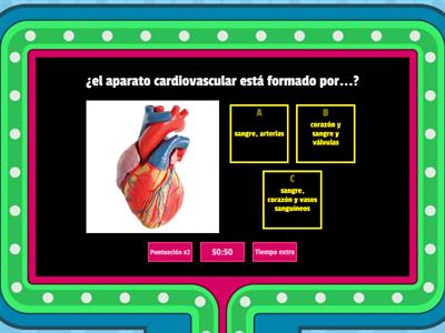 aparato cardiovascular 