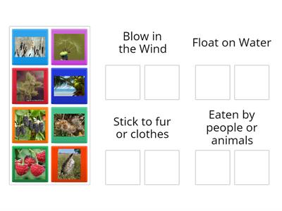 Seed - Teaching resources