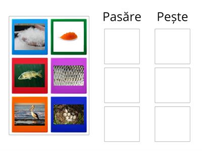 Diferențe dintre pasăre și pește