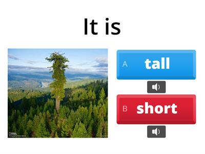 Adjectives small/big/long/short/tall/