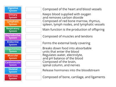 C01. Integ. Body - Organ System