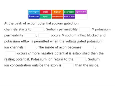 Describe how the axon membrane resting potential is established