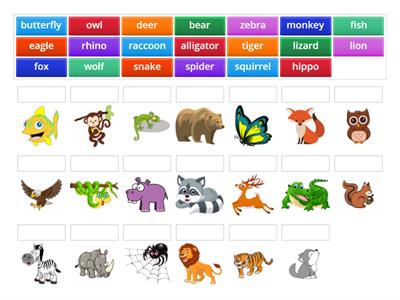 Animals Vocabulary 4th  (Wild, forest, jungle animals)
