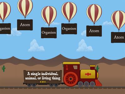 Levels of Organization Vocabulary - Balloon Pop