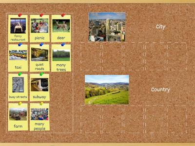 Country and City Sort