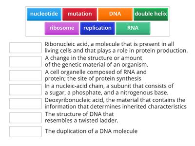 Unit 2 Lesson 6 - DNA Structure and Function