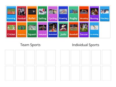 Team or Individual sport?