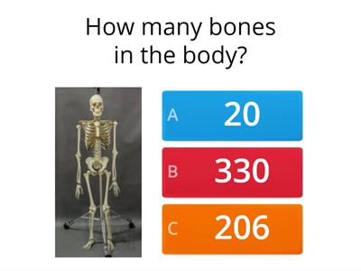 The body in numbers