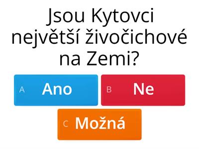 Kytovci 