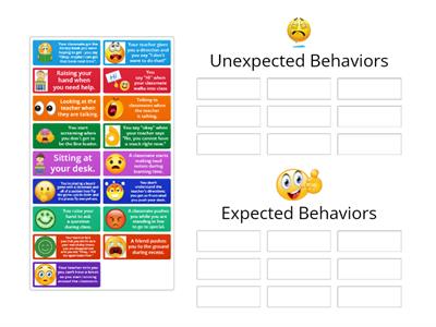 Expected and Unexpected Behaviors 