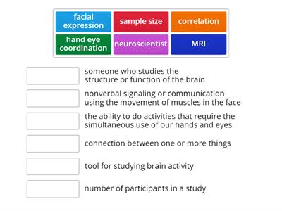 Newsela: Video Games and the Brain