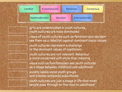 theoretical approaches to youth cultures