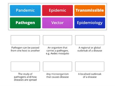IGCSE Diseases: Terminology
