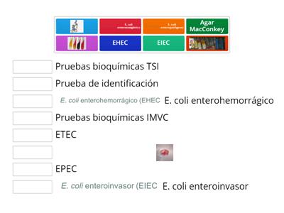 Actividad 3. Une las correspondencias 