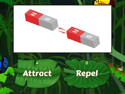 Magnet Attract and Repel