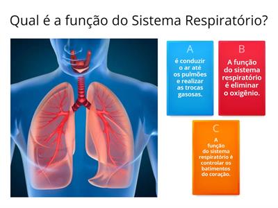 Sistema Respiratório - 5º ano