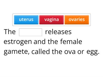 Fill in the blank female physiology 