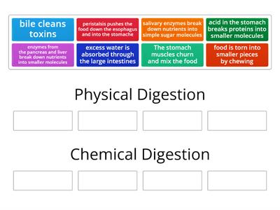 TMS Physical vs Chemical Digestion