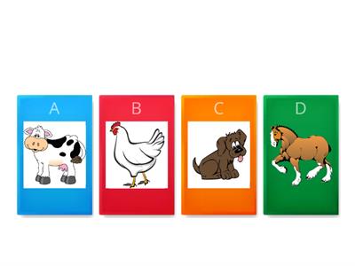 Animals/ Quiz