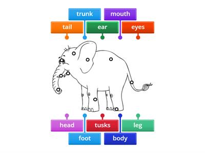 Horton The Elephant - body parts