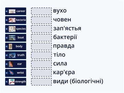 Human body pronunciation