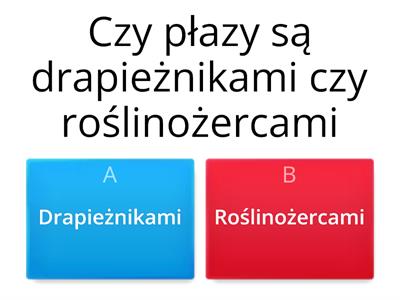 Płazy