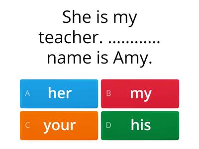 possessive pronouns