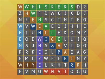 'wh' wordsearch