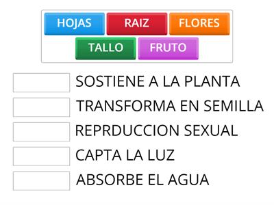 PARTES DE UNA PLANTA