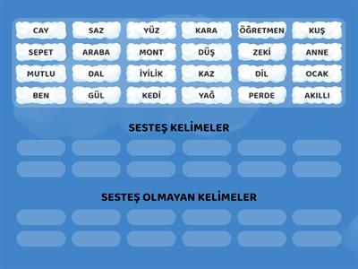 SESTEŞ KELİMELER SESTEŞ OLMAYAN KELİMELER