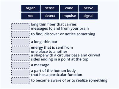 Day 21_RT1_Unit6_Lesson 1_How Eyes Work_pp. 94-96_VOCABULARY