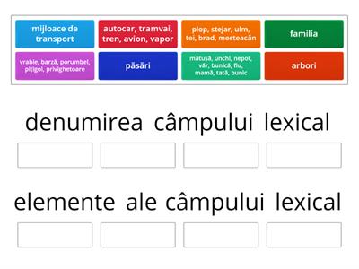  Câmp lexical