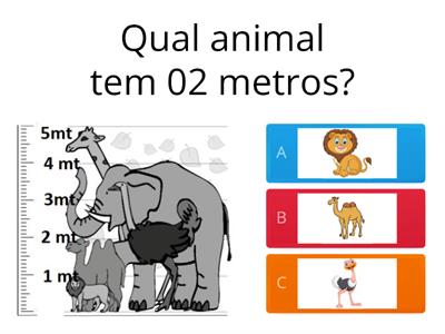 Uso do metro e centímetros 