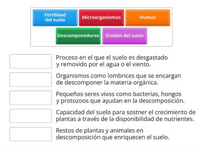 Descubriendo la biodiversidad del suelo.