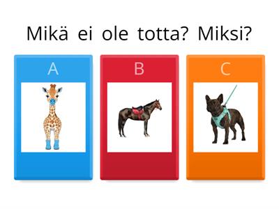 Mikä ei ole totta? (kerronta)