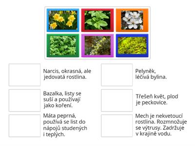 Rostliny a jejich využití