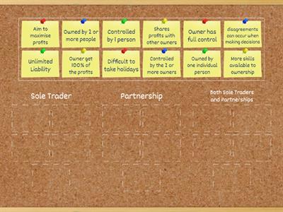 Sole Trader or Partnership