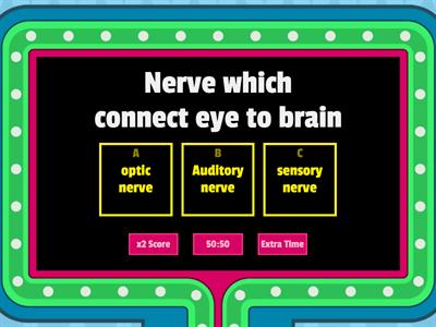 Nervous system 