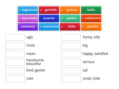 Y7 French Adjectives