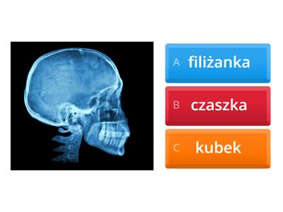 False friends część 1 