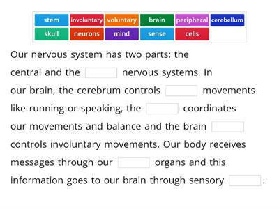 Arts and Science Through Design Thinking - Year 6 | What do you remember about the nervous system?