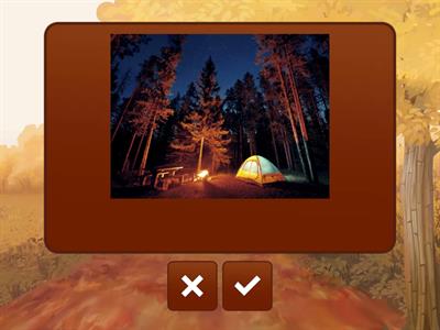 K4 - Quizz camping vocab