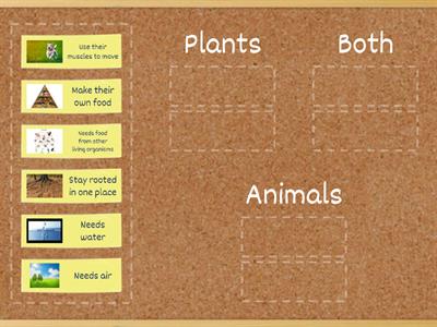 Plants vs. Animals Sort